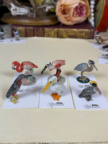 Little critterz bird - little, figurines